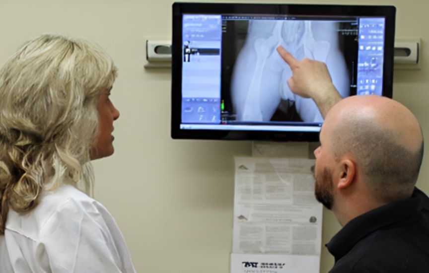 two veterinarians looking at X-Ray on a screen