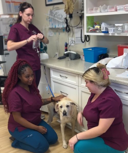 about us carousal img5