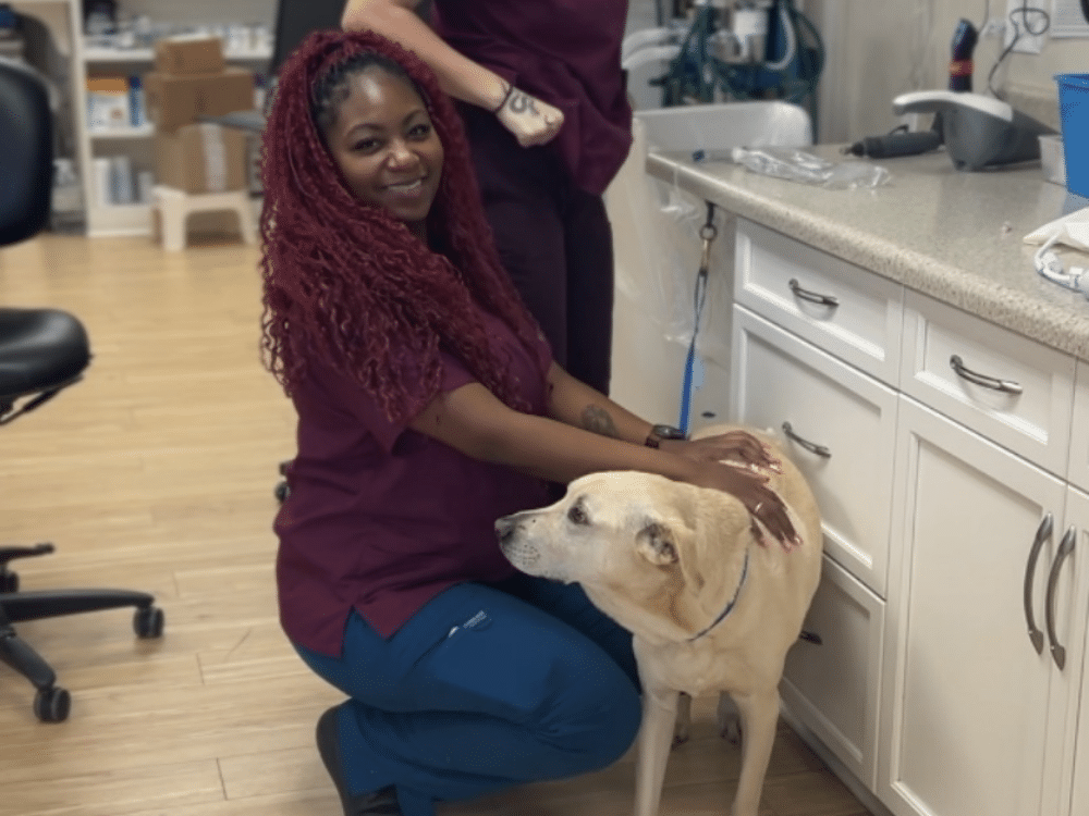 vet staff affectionately touching a dog