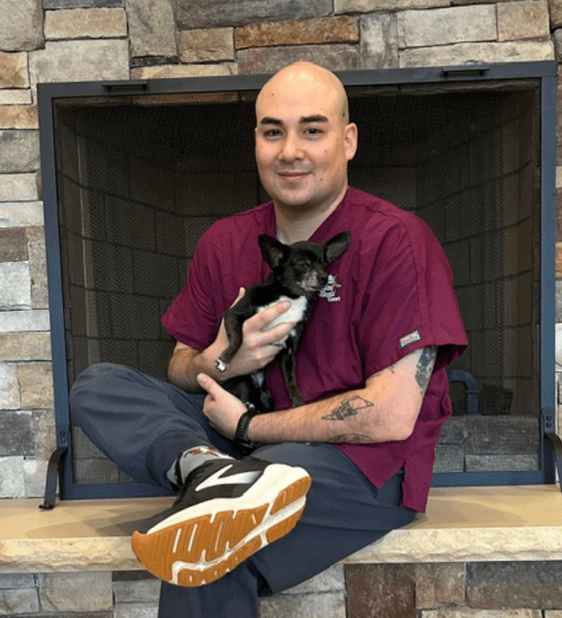 Veterinarian In Raleigh, NC | North Hills Animal Hospital & Resort